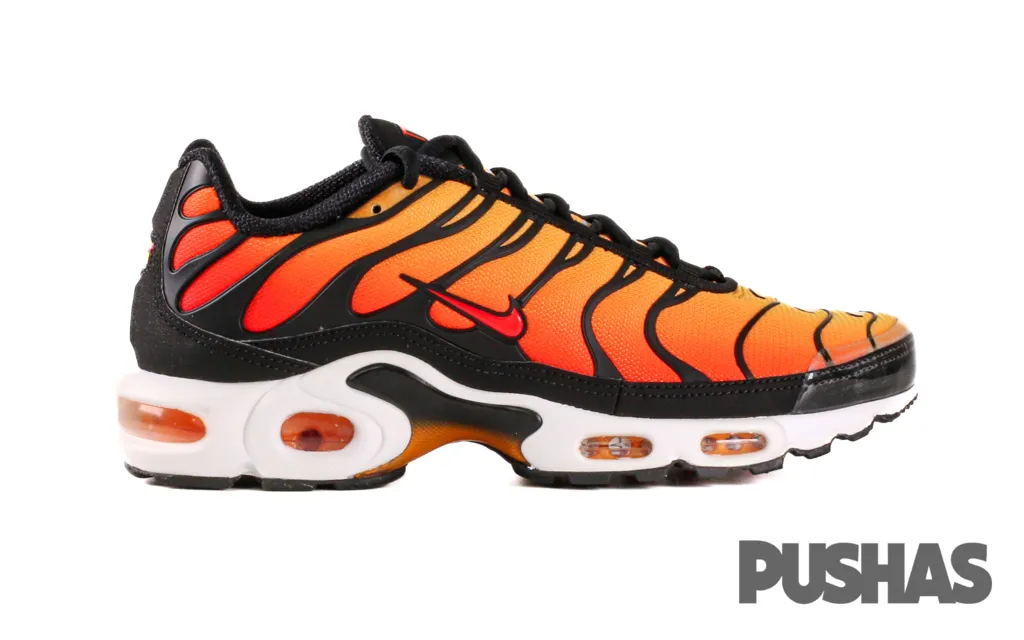 Air Max TN Plus 'Tiger'